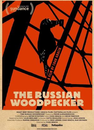 俄罗斯啄木鸟海报封面图