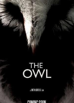The Owl海报封面图