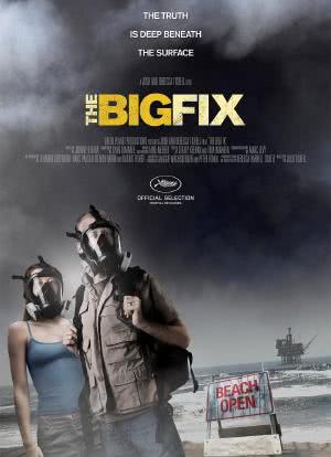 The Big Fix海报封面图