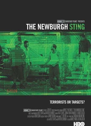 The Newburgh Sting海报封面图