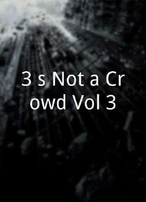 3's Not a Crowd Vol 3海报封面图
