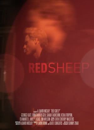 Red Sheep海报封面图