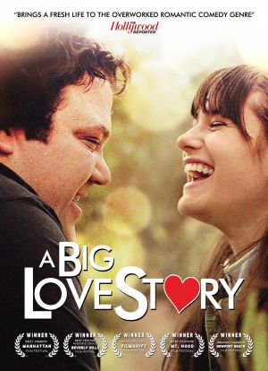 A Big Love Story海报封面图