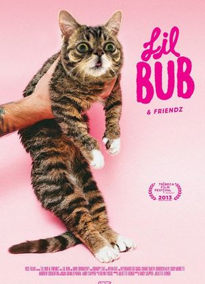 Lil Bub & Friendz海报封面图