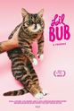 Ben Huh Lil Bub & Friendz