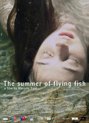 飞鱼的夏天海报封面图
