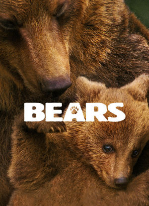 熊世界海报封面图