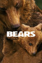 Rick Rosenthal 熊世界
