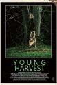 Bill R Koch Young Harvest
