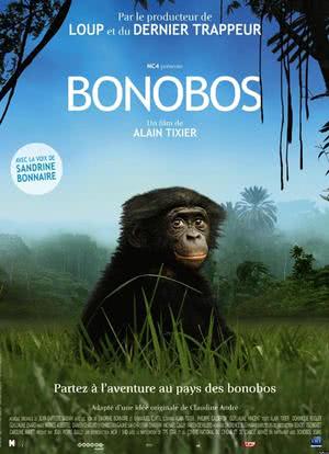 Bonobos海报封面图