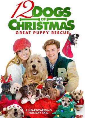 圣诞节的十二只狗狗海报封面图
