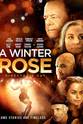 John Reno A Winter Rose