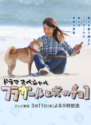 草裙舞女孩与爱犬可可海报封面图