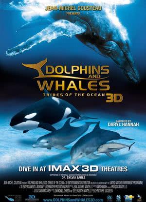 海豚和鲸鱼 3D海报封面图