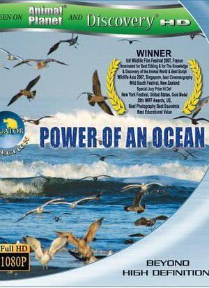 赤道系列：海洋的力量海报封面图