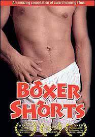 拳击短裤海报封面图