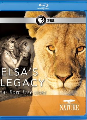 PBS：自然 - 艾尔莎的遗产：生而自由的故事海报封面图