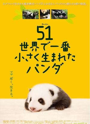 大熊猫51的故事海报封面图