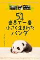 长谷川润 大熊猫51的故事
