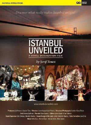 揭开伊斯坦布尔的面纱海报封面图