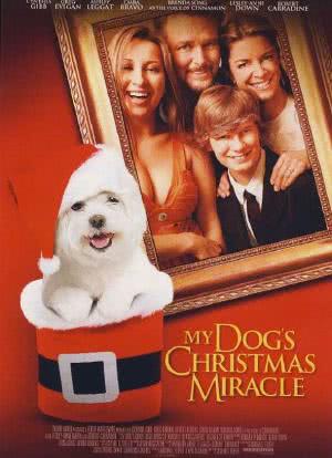 狗狗的圣诞奇迹海报封面图