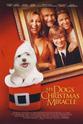 Charlie Stewart 狗狗的圣诞奇迹