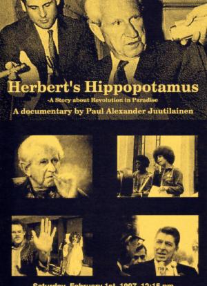 Herbert's Hippopotamus海报封面图