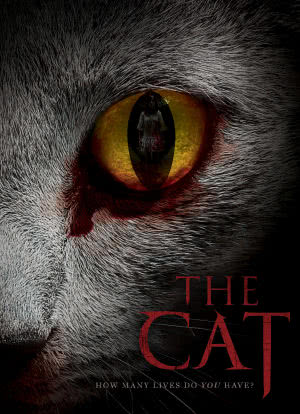 猫：看见死亡的双眼海报封面图
