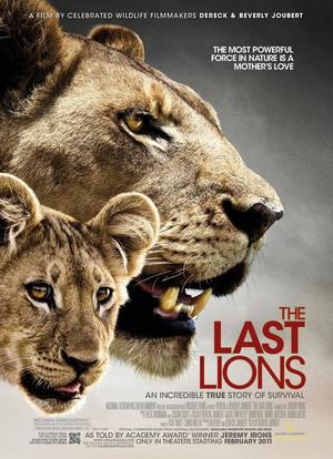 最后的狮子海报封面图