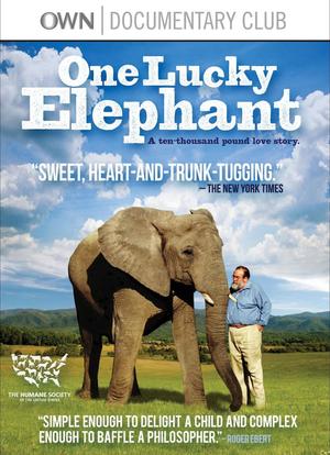 一只幸运的大象海报封面图