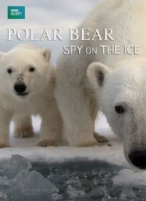 北极熊：冰上侦探海报封面图