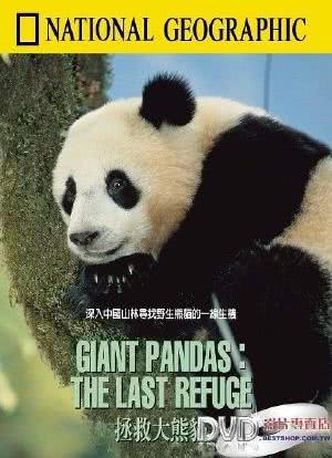 拯救大熊猫海报封面图