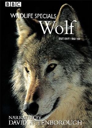BBC Wildlife Specials—Wolf海报封面图