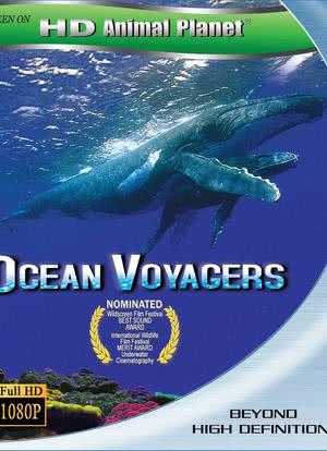 动物星球系列：鲸奇之旅海报封面图