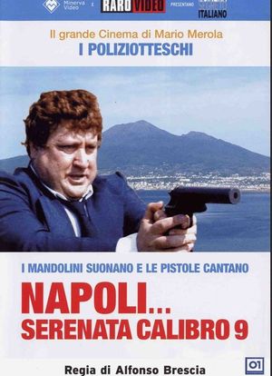 Napoli serenata calibro 9海报封面图