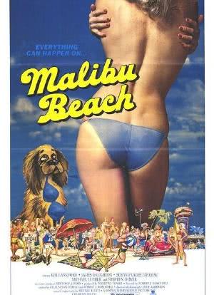 Malibu Beach海报封面图