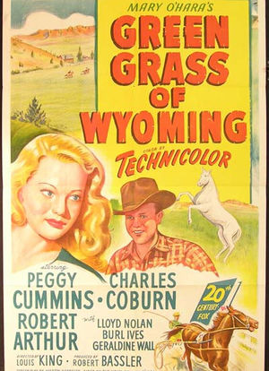 怀俄明州的绿草海报封面图