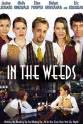 Gregg Sacon In the Weeds