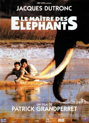 大象的主人海报封面图