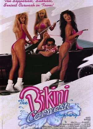 The Bikini Carwash Company海报封面图