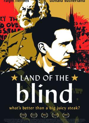 盲者之国海报封面图