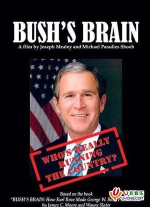 布什的脑袋海报封面图