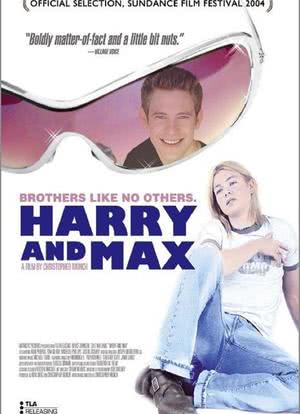 哈利与马克斯海报封面图