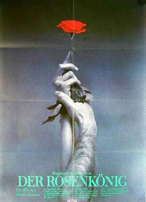 玫瑰花神海报封面图