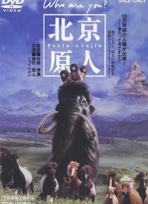 北京猿人海报封面图