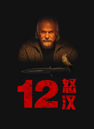 12怒汉：大审判海报封面图