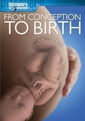 从受孕到分娩海报封面图