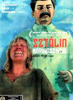 斯大林的新娘海报封面图