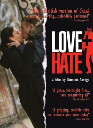 爱与恨海报封面图