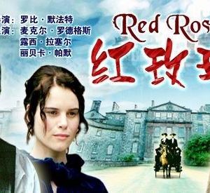 红玫瑰海报封面图